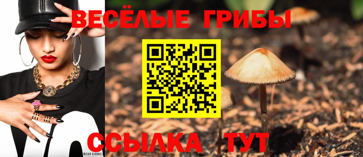 Галлюциногенные грибы Новодвинск