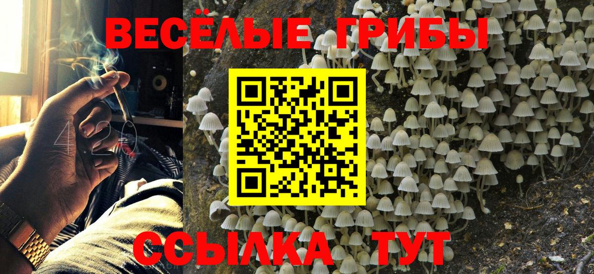 Псилоцибиновые грибы GOLDEN TEACHER Новодвинск